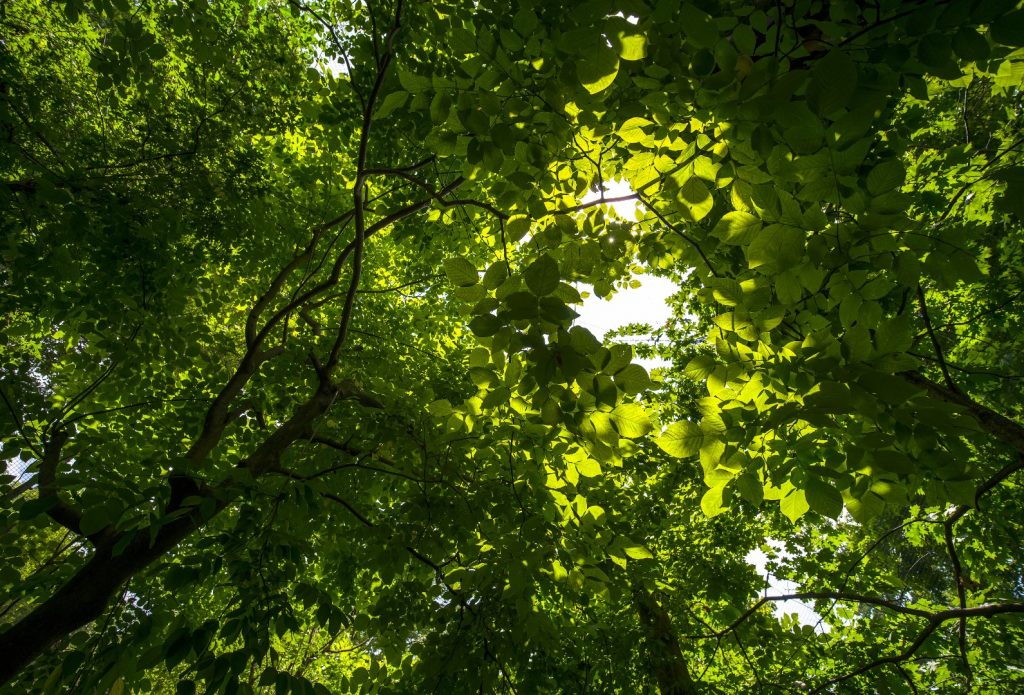 Engagements RSE ALDA Majuscule - Alkor